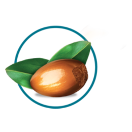 Argan Oil